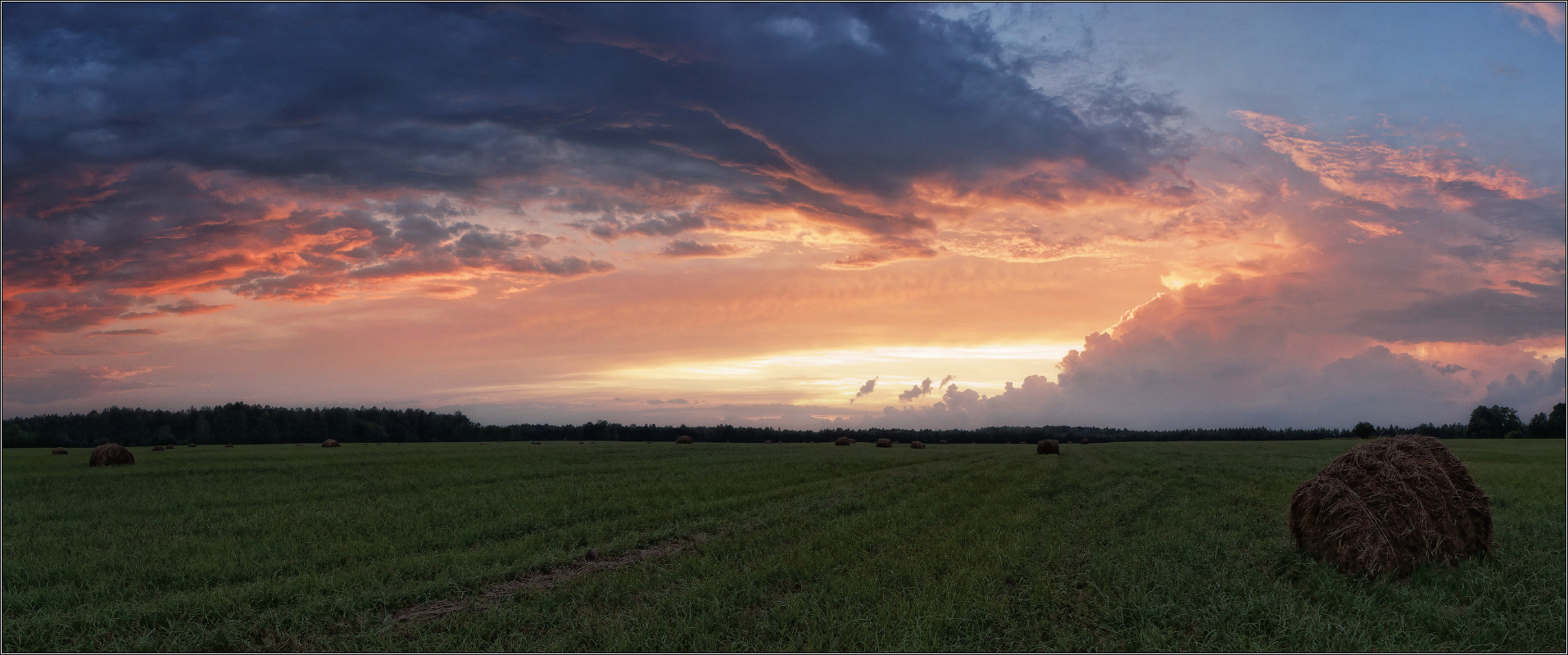 Durch den regen ....