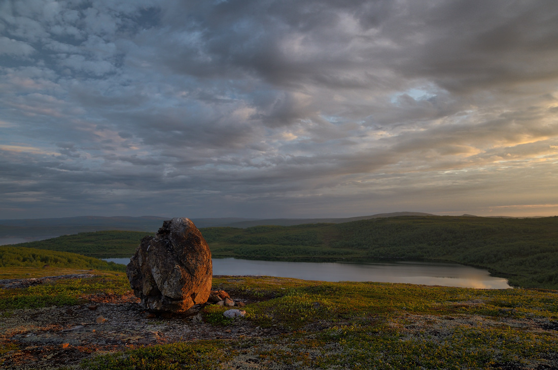Lokale Forest Lake