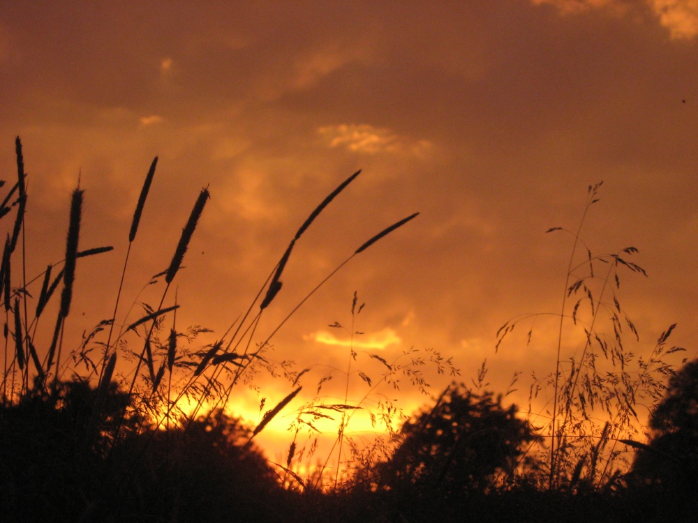 Singularität des üblichen
