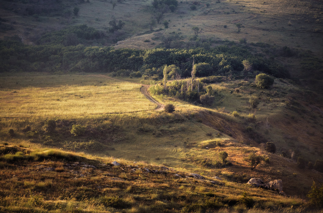 Am Morgen des Balaclava