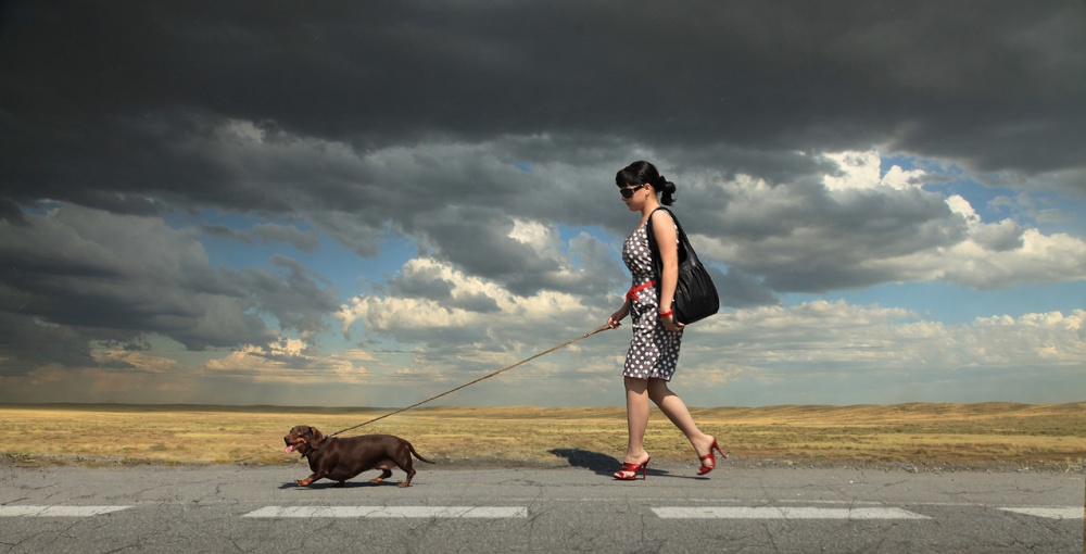 Solange wir gehen ...