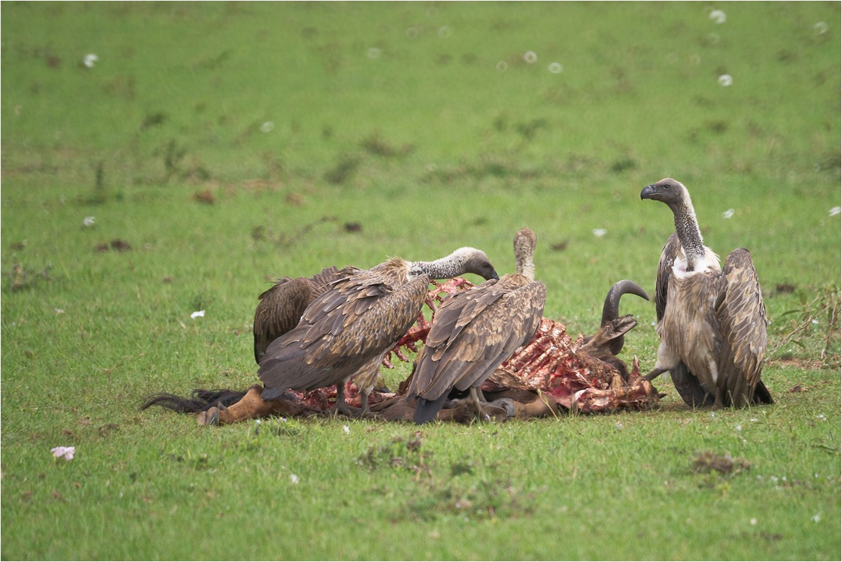 Helfen Sie sich selbst ...