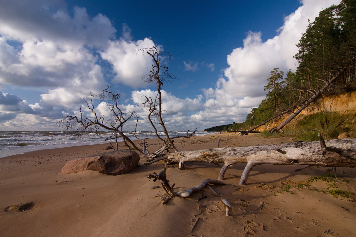 Samovyvoz.Nedorogo.II