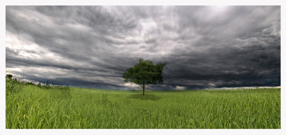 Einsamkeit Gedanken vor dem Sturm.