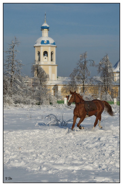 Und in der Nacht träume ich von einem Pferd ...
