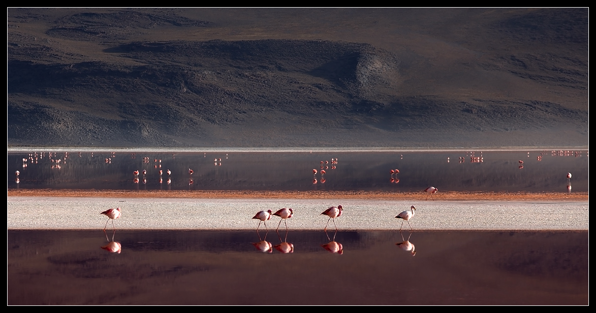 Morgen Promenade ...