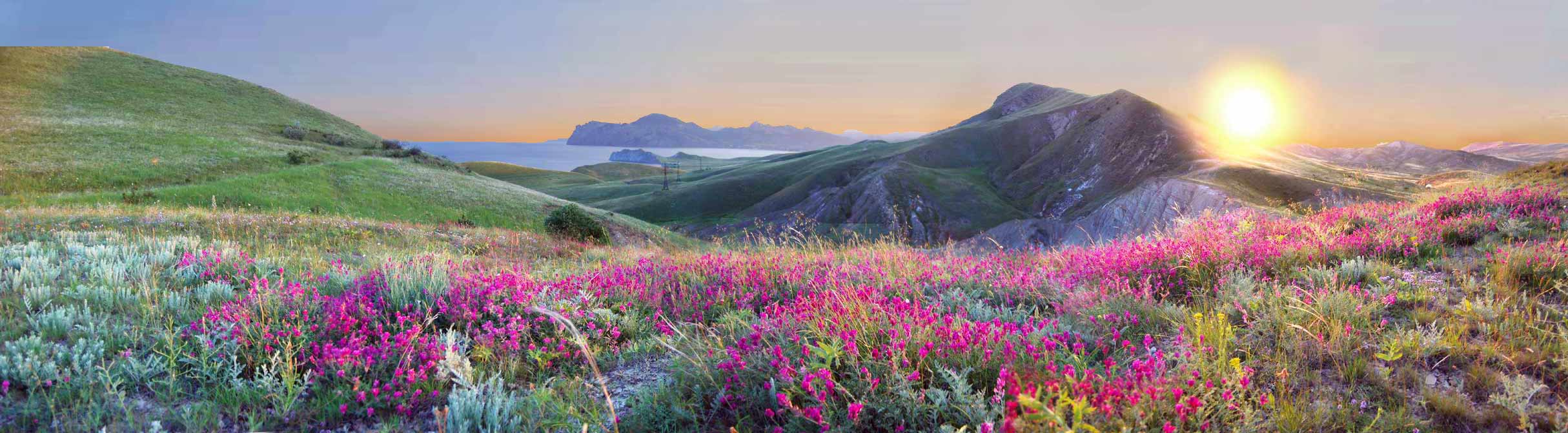 Frühling Weiten Cimmerien