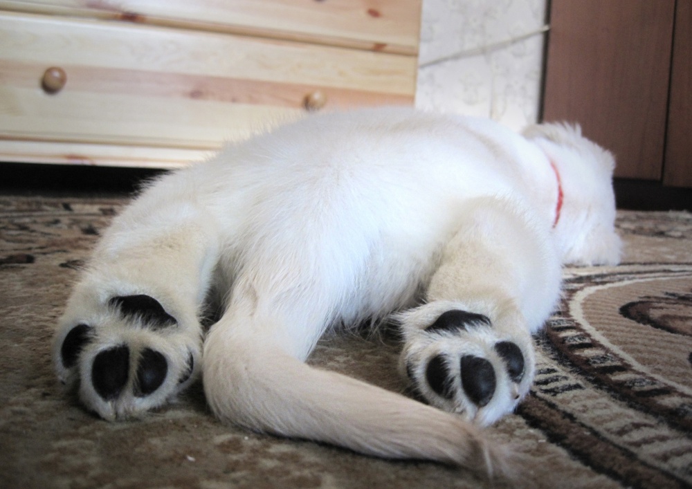 Oh, diese Fersen ...