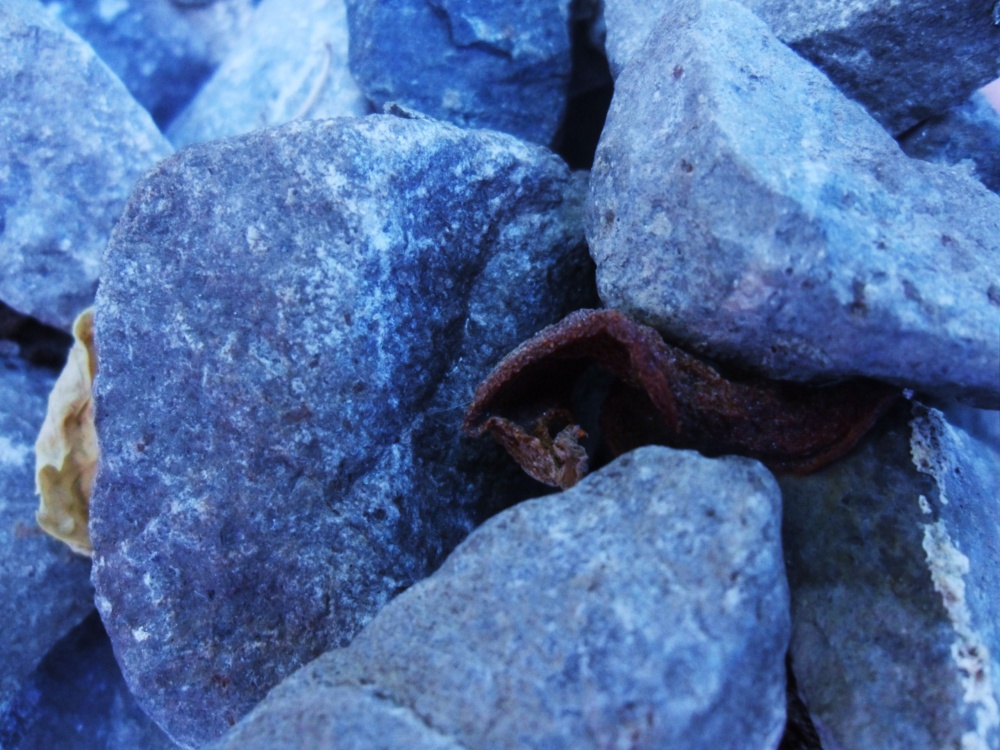 Die Energie der Erde