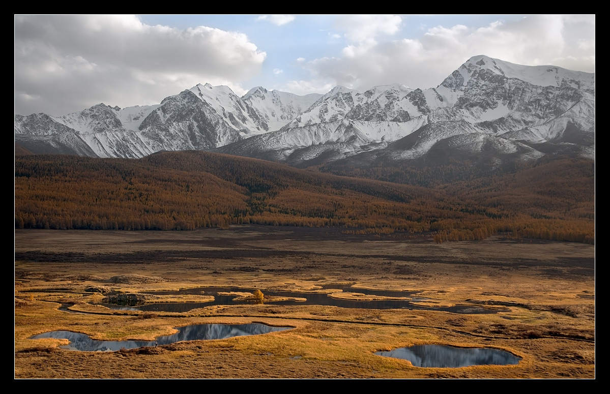 Winter, Herbst, Sommer ....