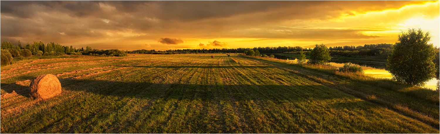 Wiese bei Sonnenuntergang