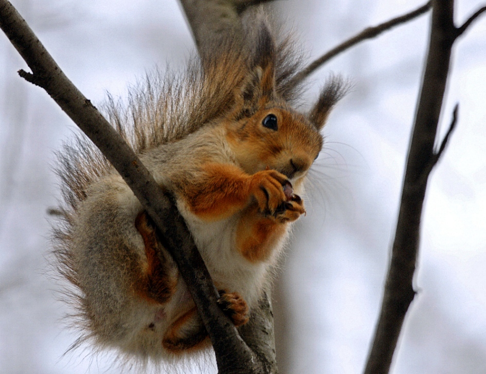 Protein beim Frühstück