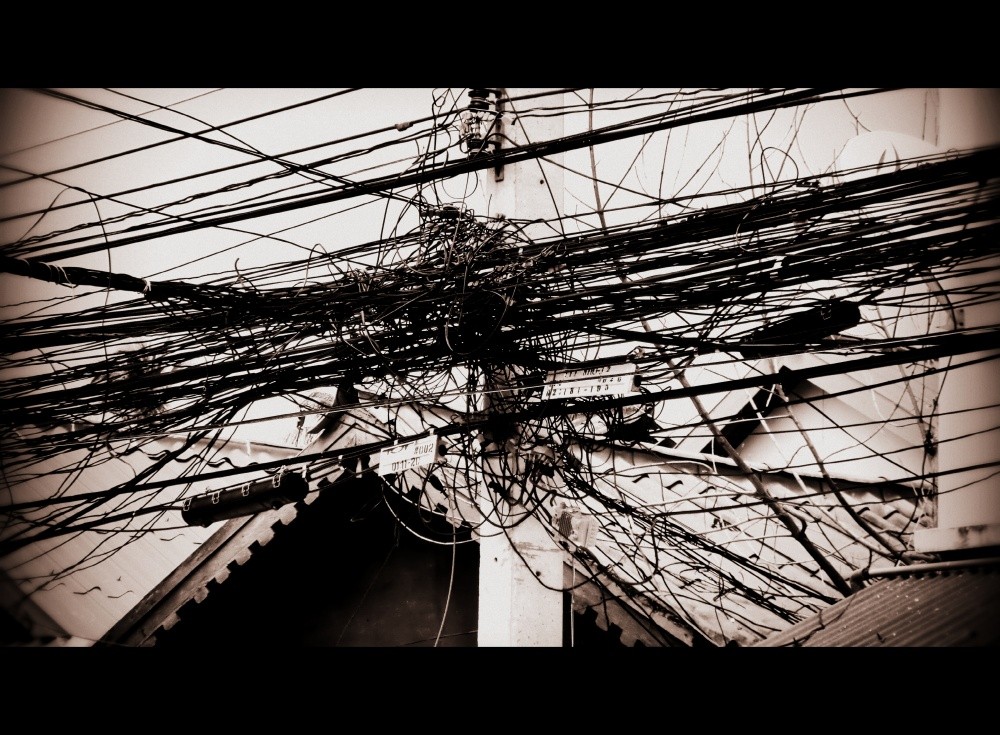 Пальма. Провода и веточки.