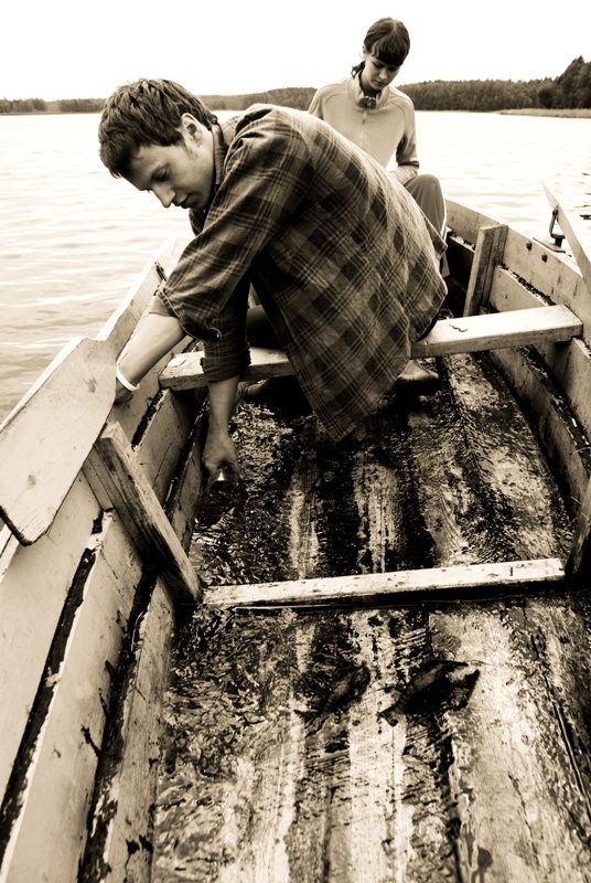 Krebs und die Strömung