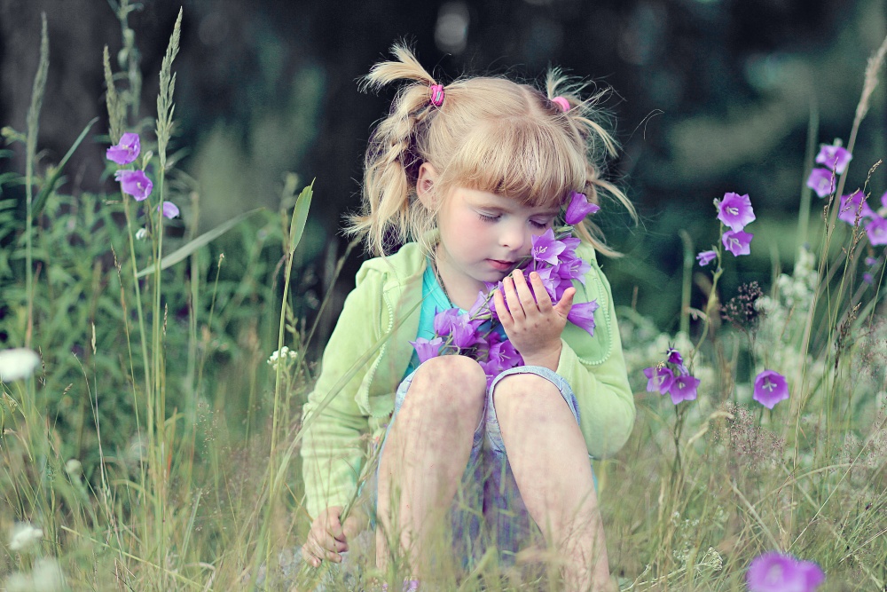 Glocken sind meine ....