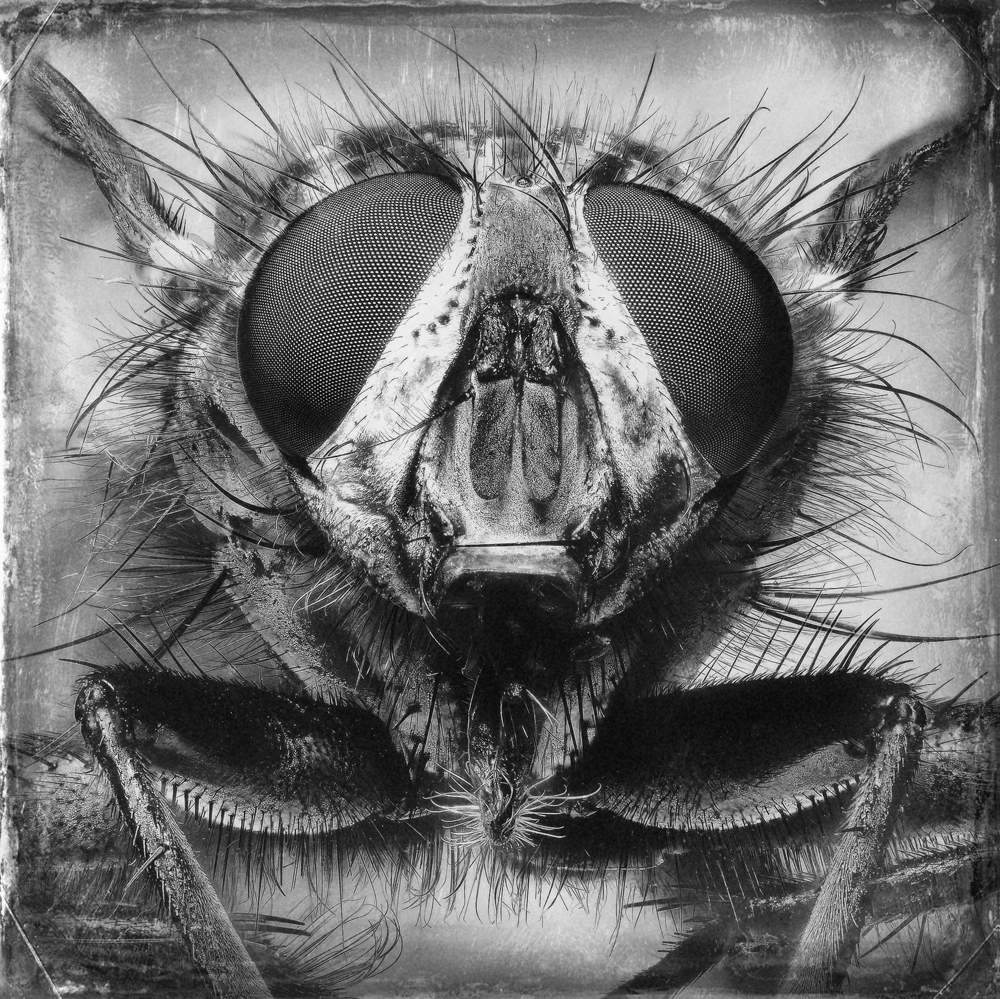 Ich komme zu euch - 2