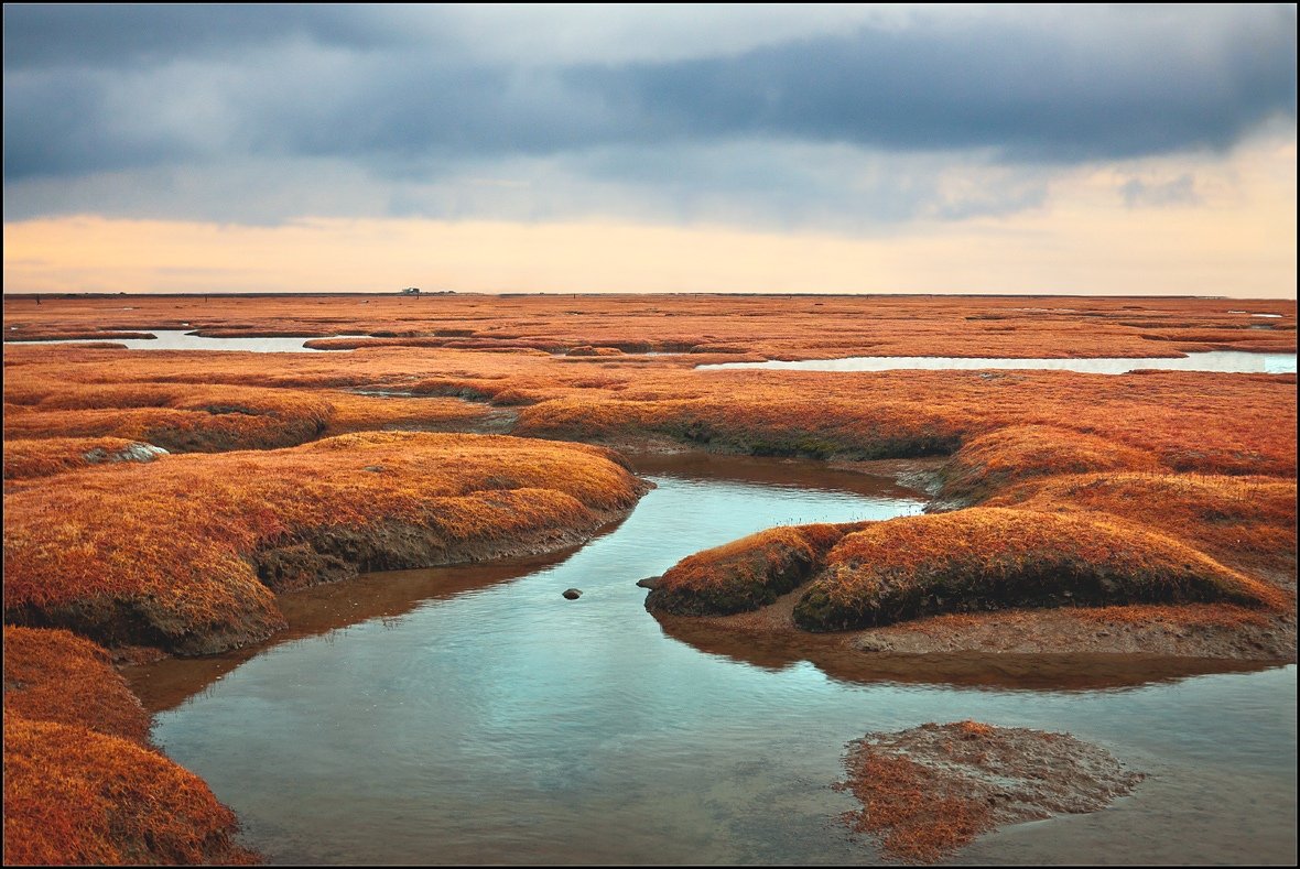 Diese schöne Welt ....