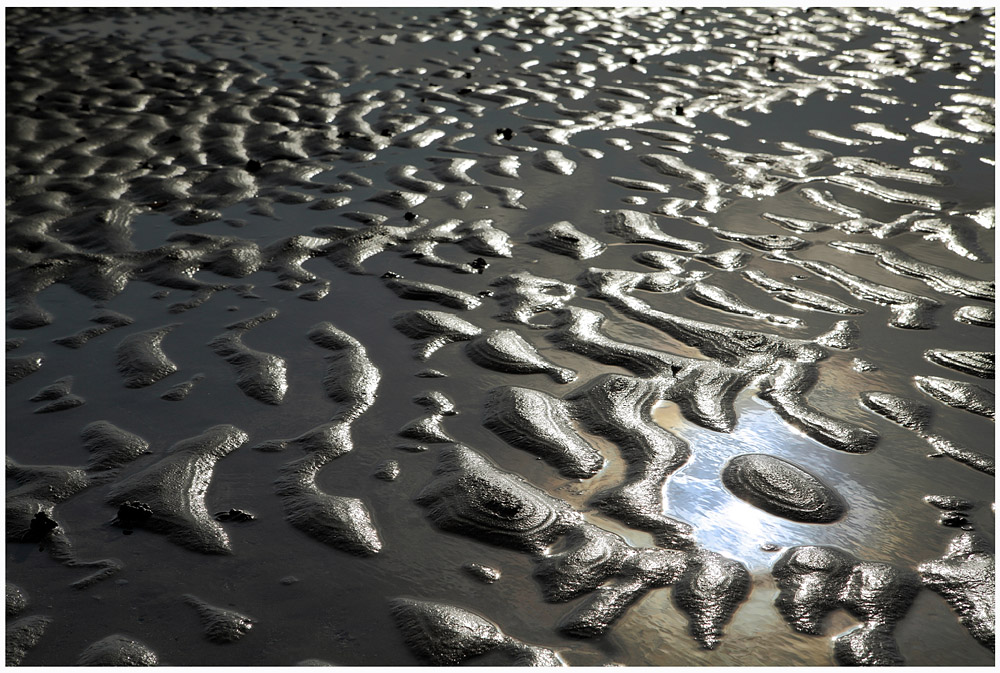 Bald wird die Flut ...