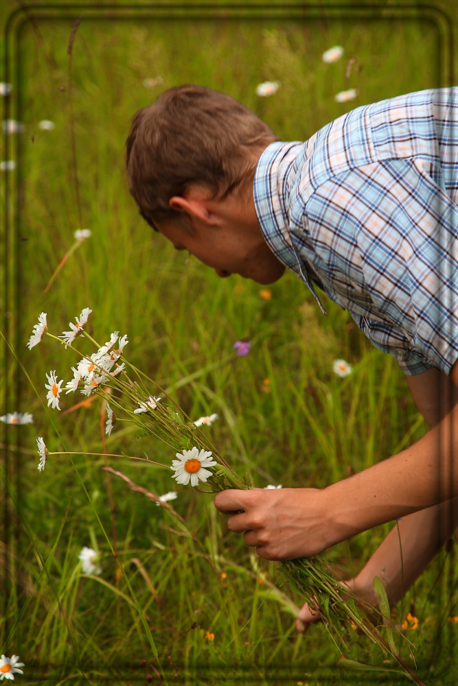 Einfach Daisies