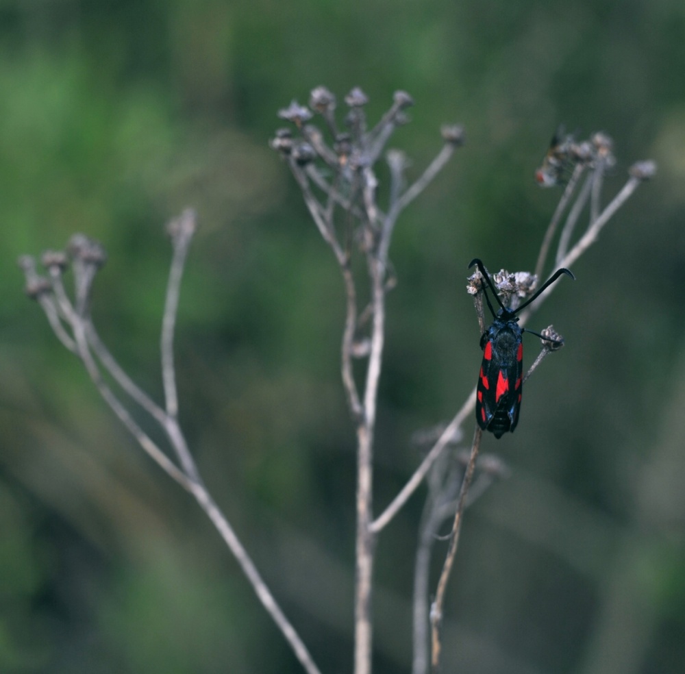 __________________________