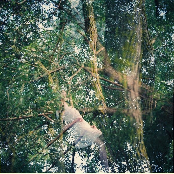 Einsamer Baum in the Heart of the Universe