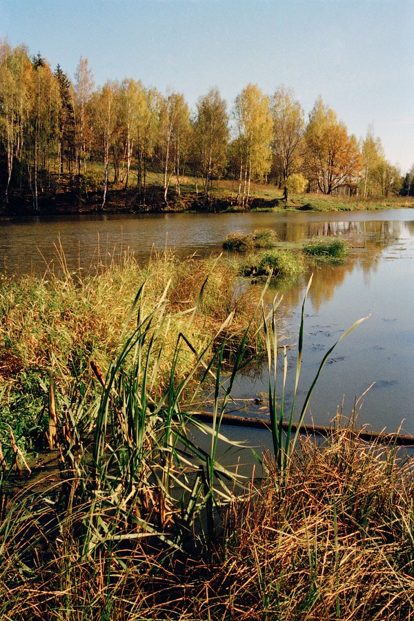Herbst in Abramtsevo