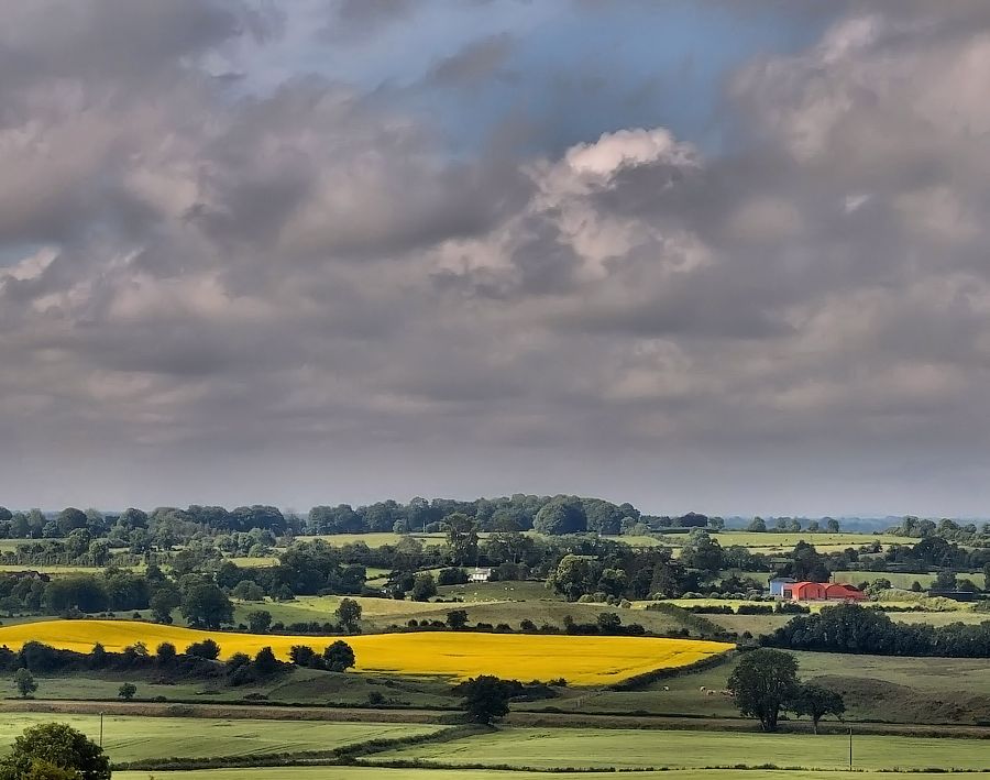 Buchweizen ... Nut ...
