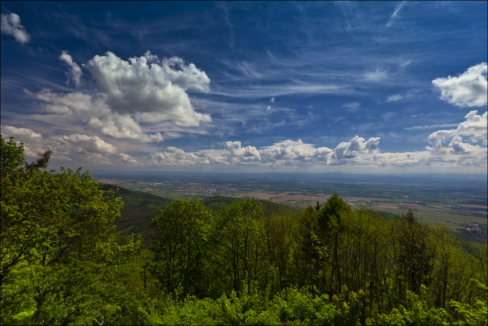 Der Blick aus dem Fenster des Schlosses ....