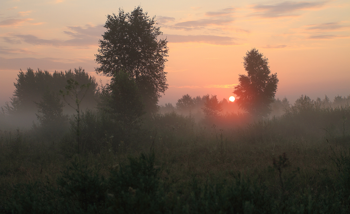 Paints nebligen Morgen