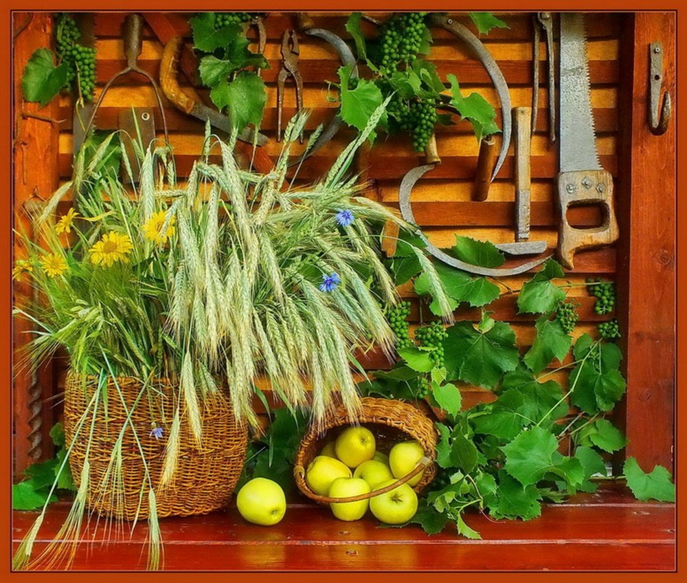 Trauben, Äpfel und Getreide ...