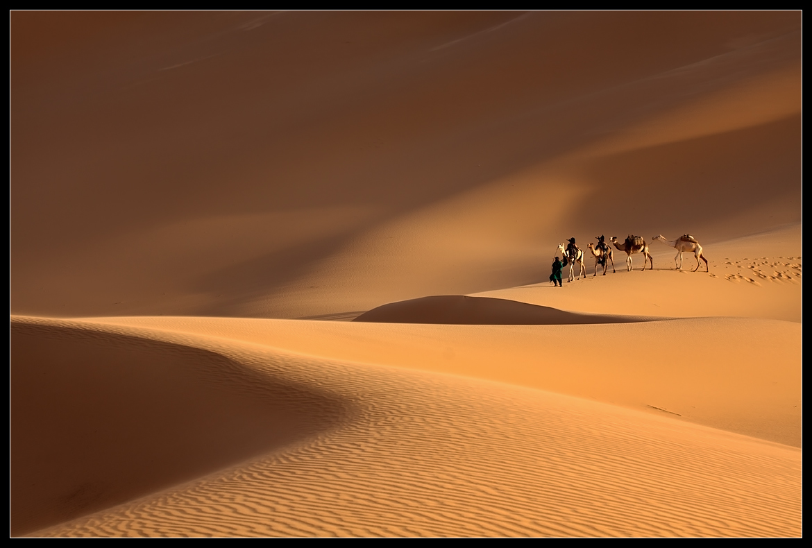 Caravan der Sahara ....