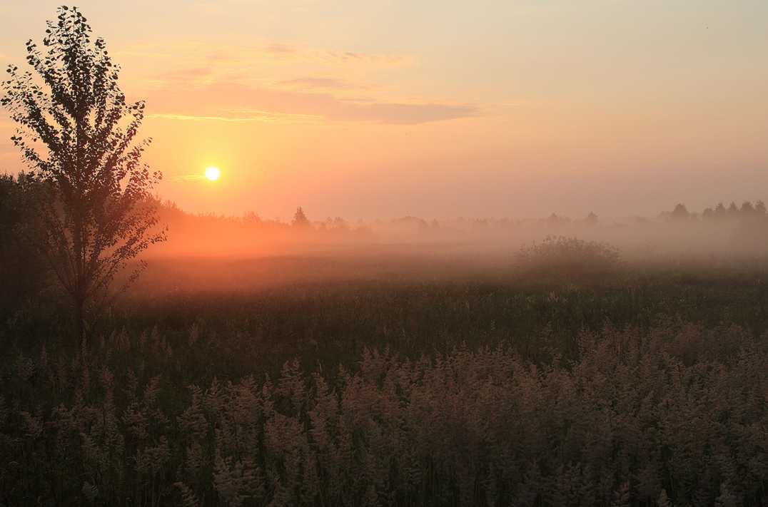 Paints nebligen Morgen 2