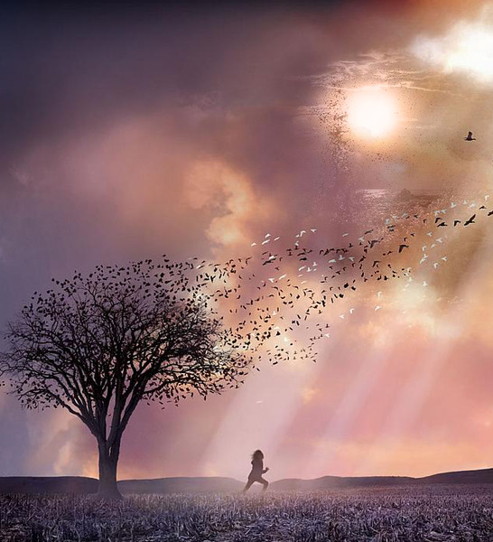 Auf dem Weg zur Traum