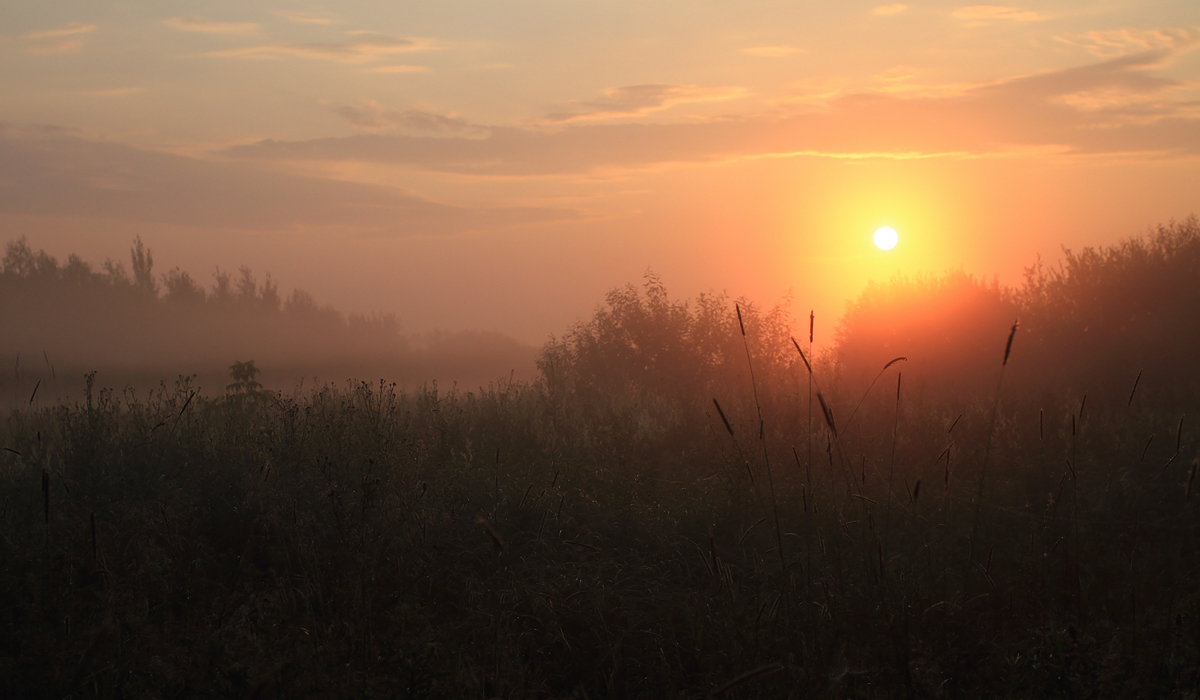 Paints nebligen Morgen-3