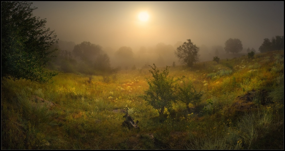 Dream Valley OAK und der Master Class Programm Schnäppchen ...