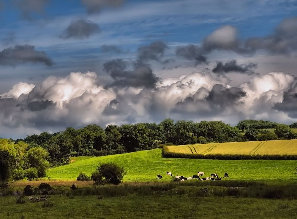 ... Geschossführung, Nummer sechs ...