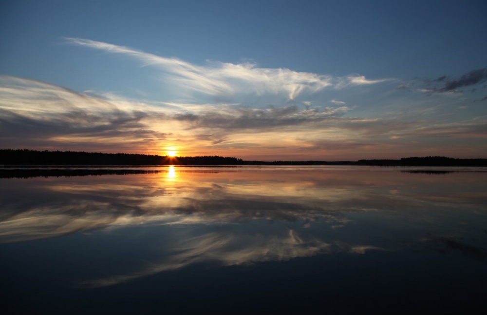 Vogel des Glücks ...