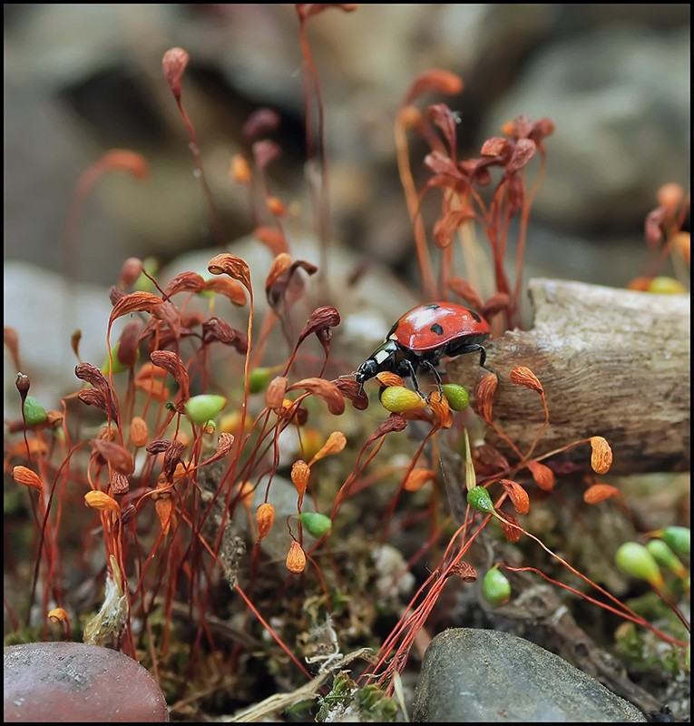 Rutschte aus und ...