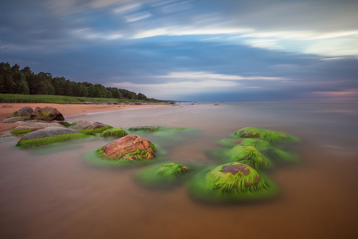 Der steinerne Garten