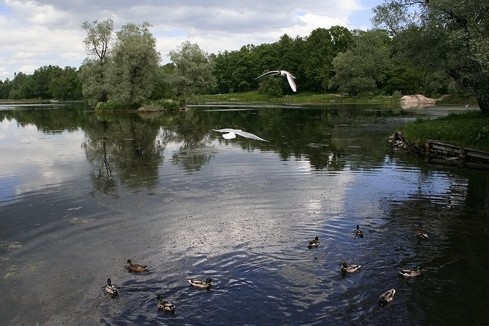 Alten Park. Gatschina.