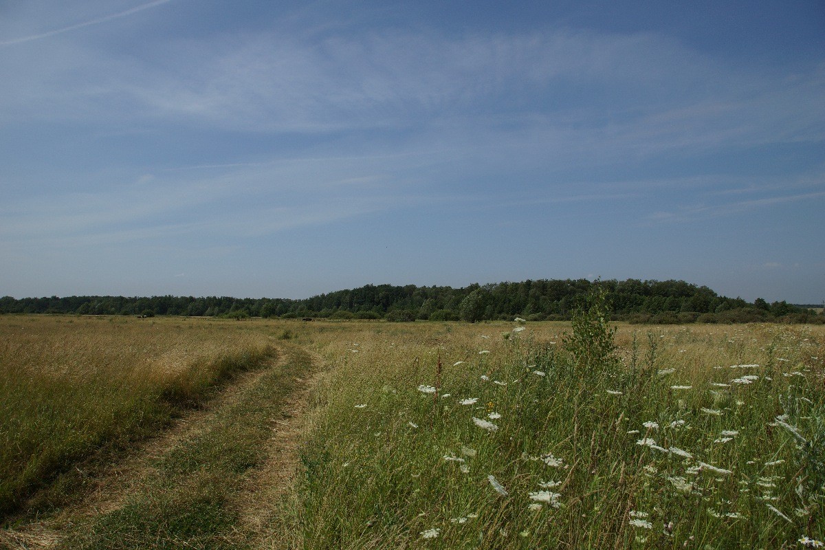 Road to nowhere ......