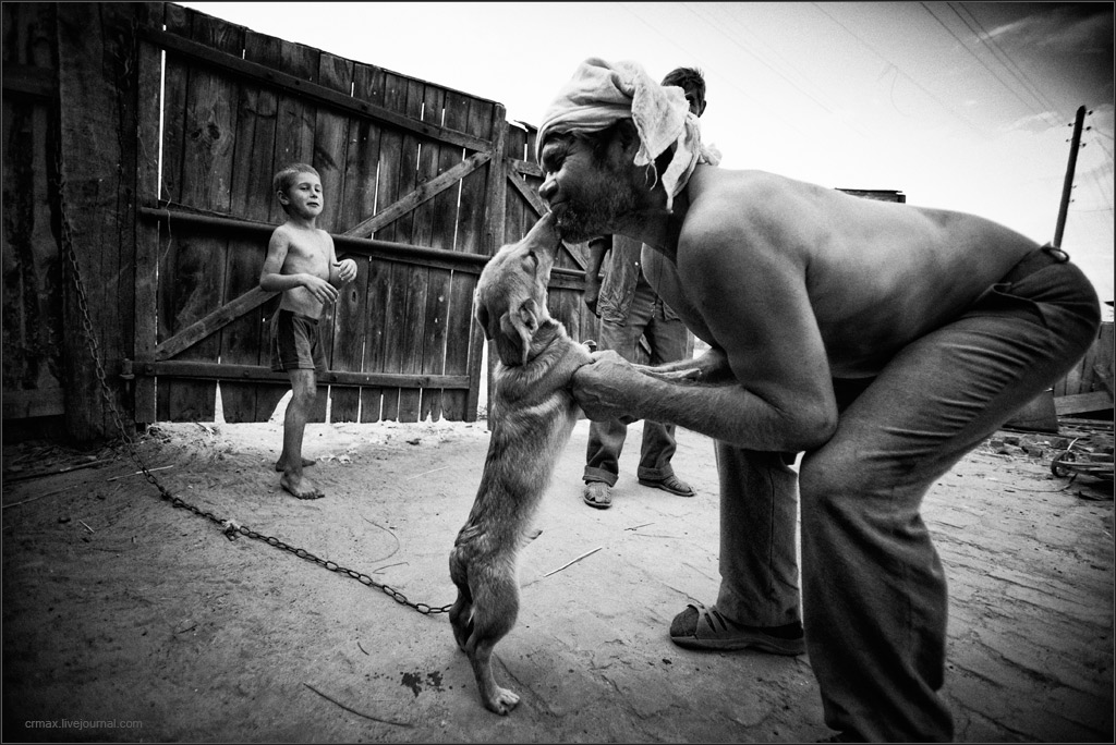 Ivan, das Bild mit dem Hund.