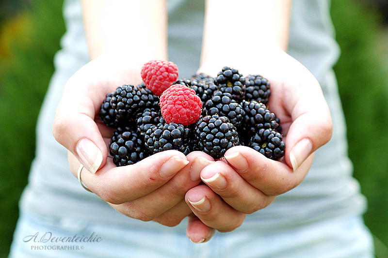 Eine Handvoll Sommer.