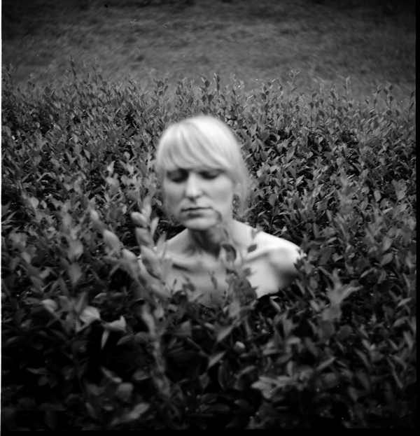 Alle meine Träume haben sich Vögel