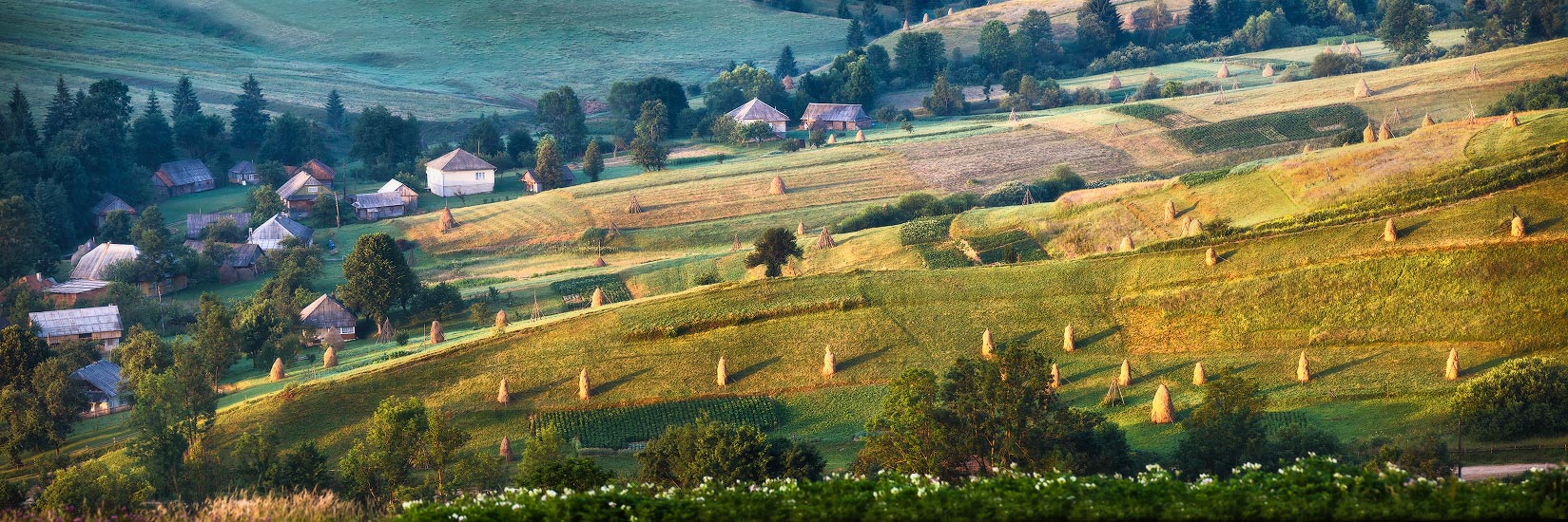 Alle am Morgen Podobovets