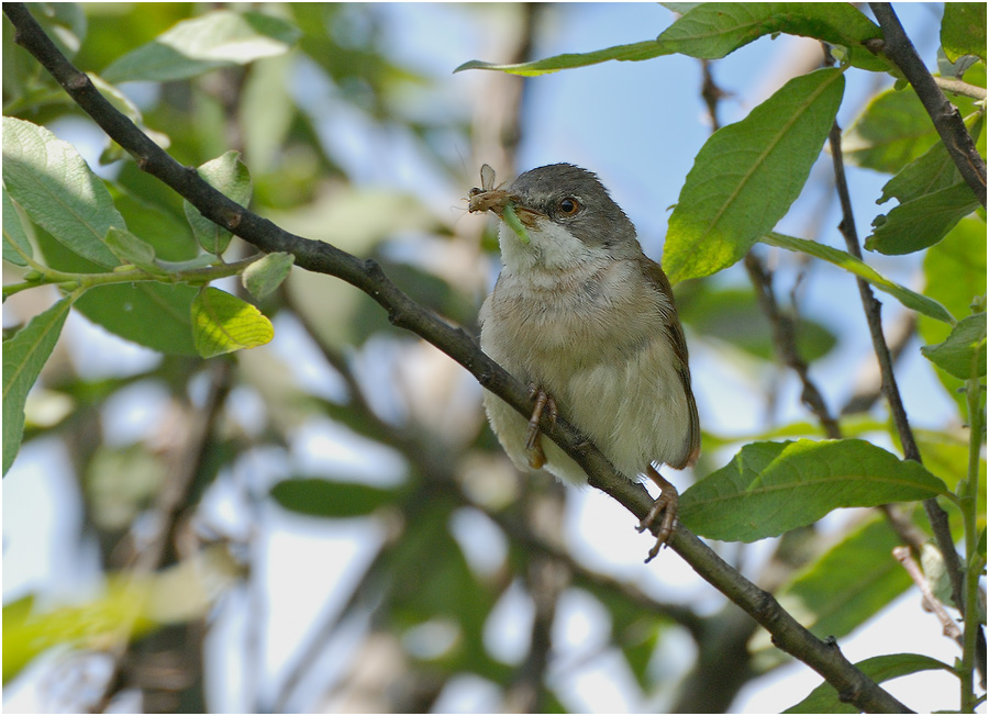 Mit der Produktion von