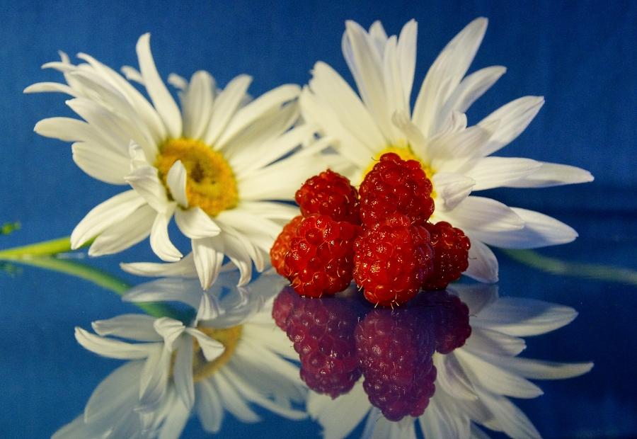 Hier ist, wie es ist, unsere Sommer