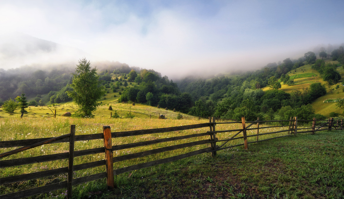 Am Morgen nach dem regen ...