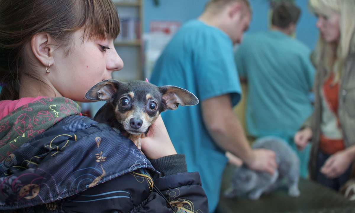 Bei einem Empfang beim Tierarzt