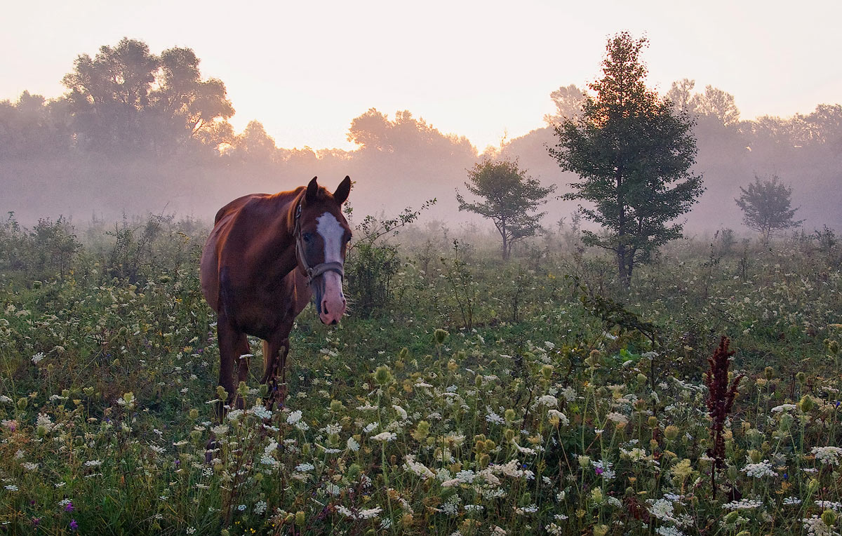 Fünf Minuten vor der Dämmerung ...